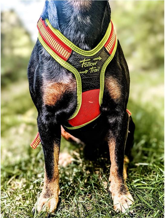 Produktbild Niggeloh Hundeführgeschirr Follow Trail (M, Hund, Hundesport)