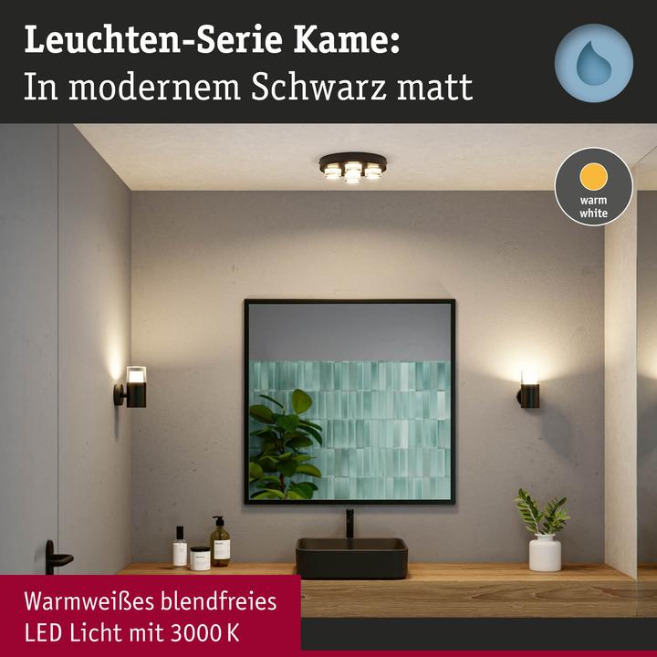 Image du produit Paulmann Badleuchte Kame (2480 lm)