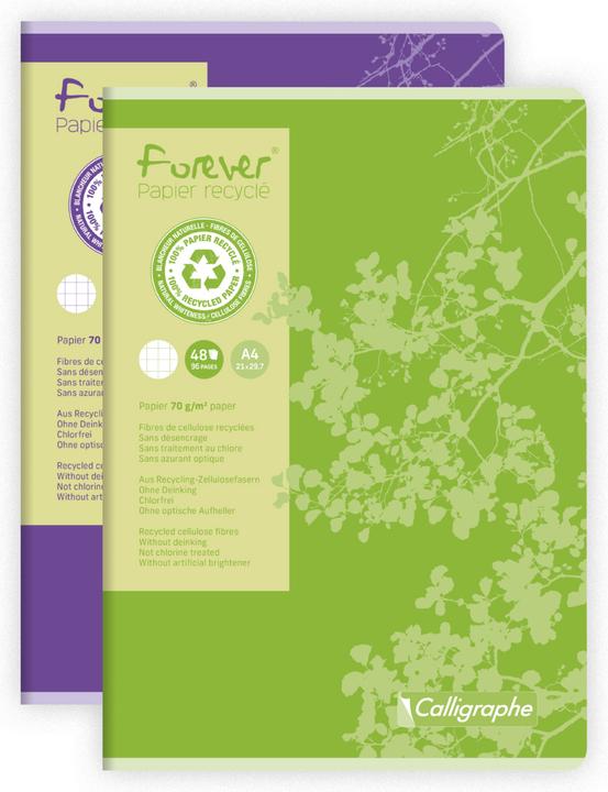 Actual product image Calligaphe Forever papier recyclé (A4, Checked)
