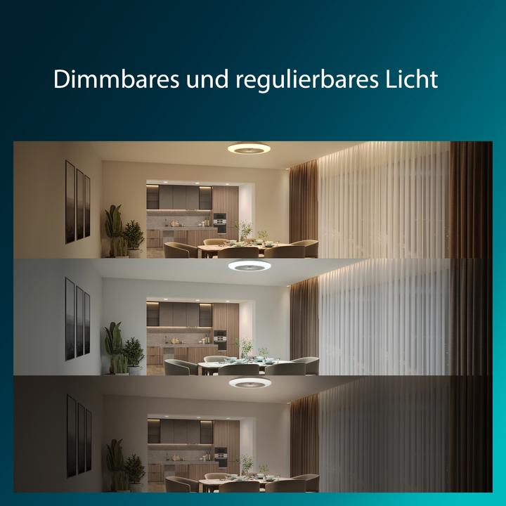 Immagine prodotto Signify Philips Amigo (6500 lm)