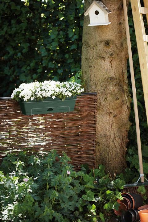 Immagine prodotto Elho Scatola da balcone Green Basics Allin1 (49 cm)