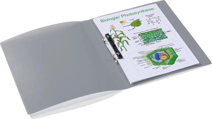 Actual product image Herma A4 ring binder translucent (A4, 25 mm, 1 Piece)