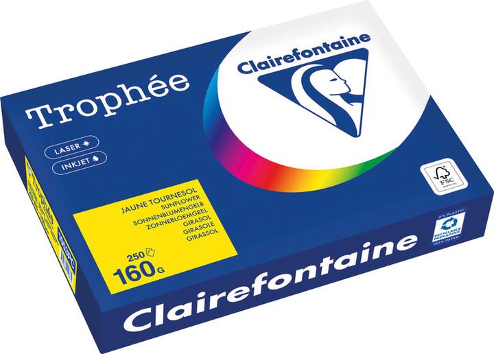 Immagine prodotto Clairefontaine Carta universale Trophée colorata (160 g/m², 250 x, A4)