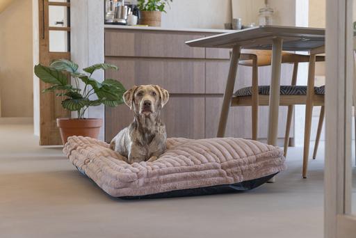 Actual product image Designed by Lotte Reza reclining cushion (Dog)