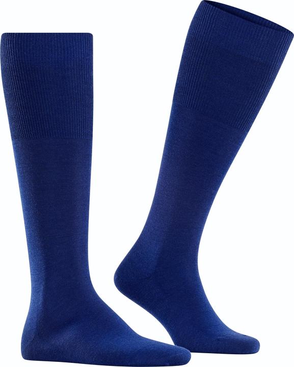 Bleu royal