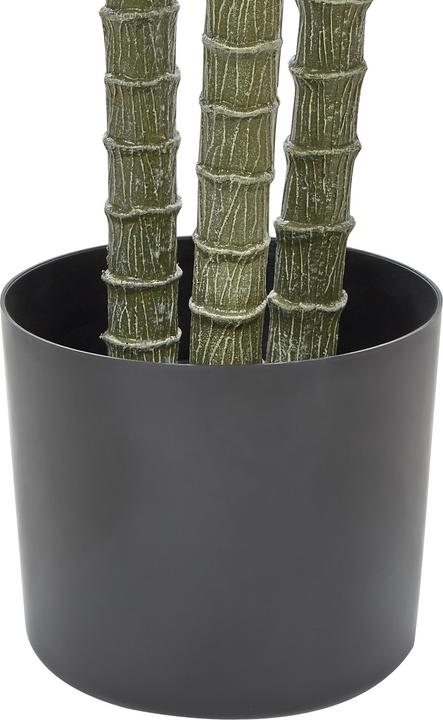 Image du produit Beliani Dracaena Anita (198 cm)