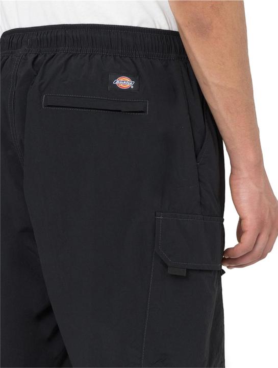 Image du produit Dickies Short cargo Jackson (M)