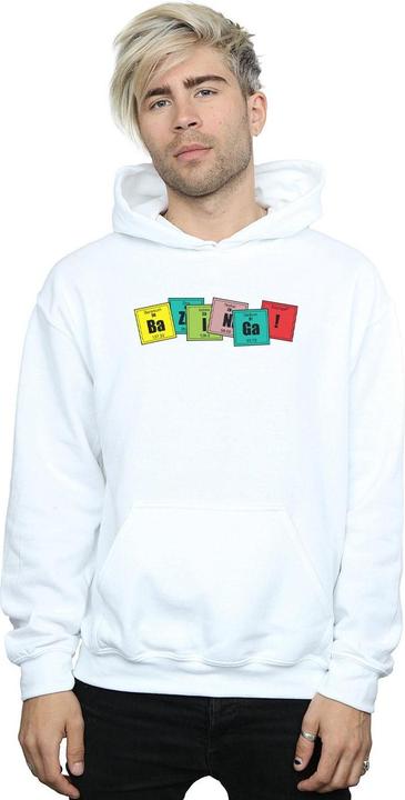Image du produit Dam Mens Bazinga Elements Hoodie (XXL)
