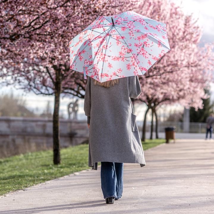Image du produit Fisura Stockschirm Sakura