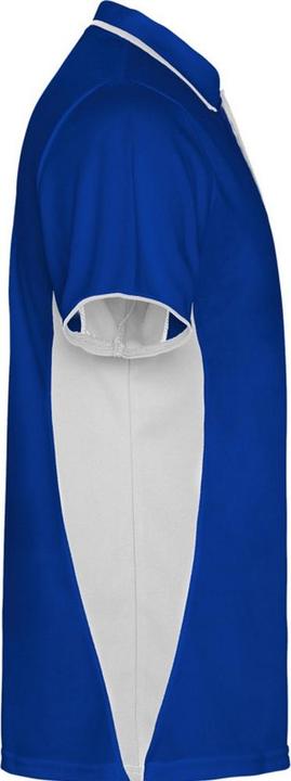 Actual product image Alpinia Unisex Adult Montmelo Short-Sleeved Sports Polo Shirt (S, XXL)