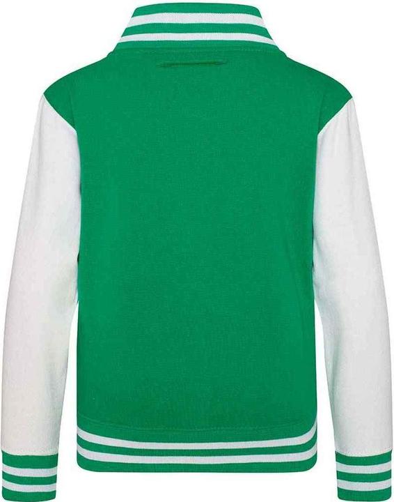 Actual product image Awdis Childrens/Kids Varsity Jacket (116)