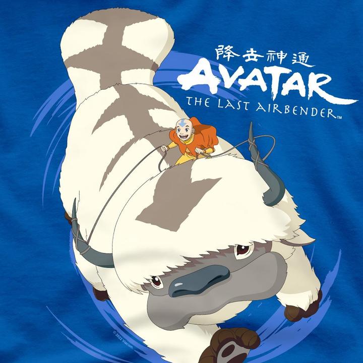 Produktbild Avatar: The Last Airbender In Flight TShirt (M)