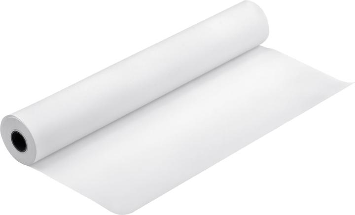 Productafbeelding Epson Enkelvoudig mat papier 432 mm x 40 m (120 g/m², 4000 cm, 43.20 cm)