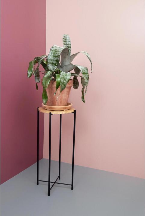 Produktbild Schou Blumentisch