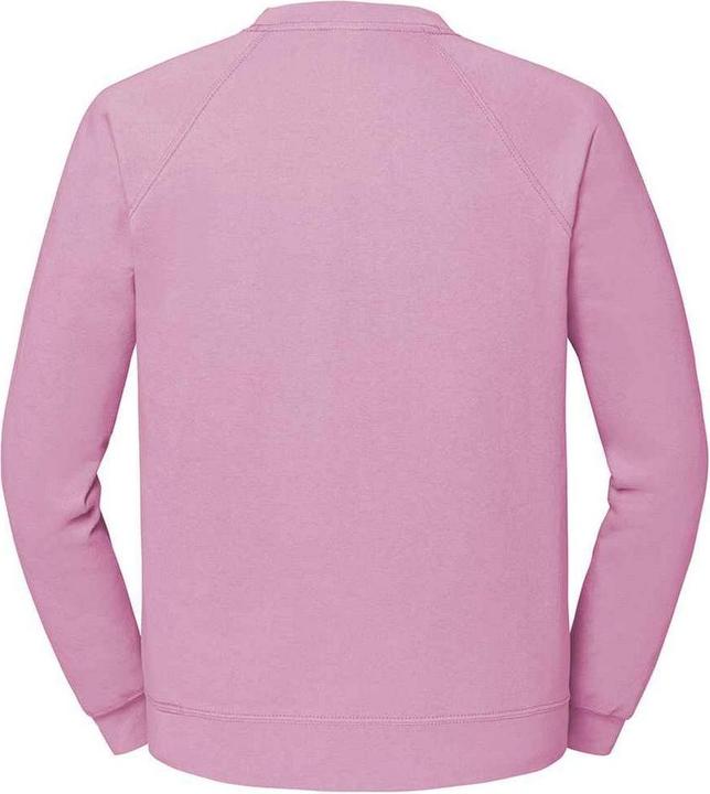 Actual product image Fruit of the Loom Unisex Adult Classic Raglan Sweatshirt (S)