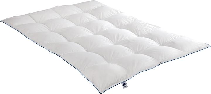 Immagine prodotto Irisette Piumino 4 stagioni Luna (920 g, 135x200 cm)