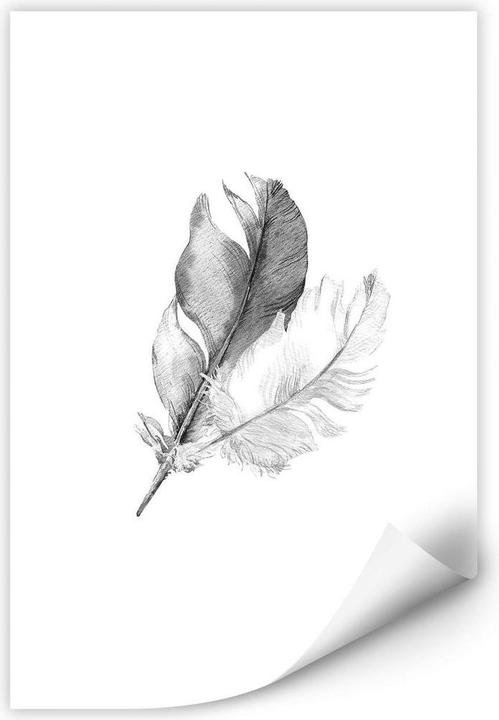 Produktbild Trenddeko Federn (70 x 100 cm)