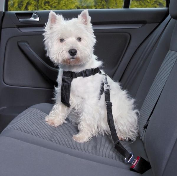 Produktbild Trixie Auto-Geschirr (Hund, Reflektoren)