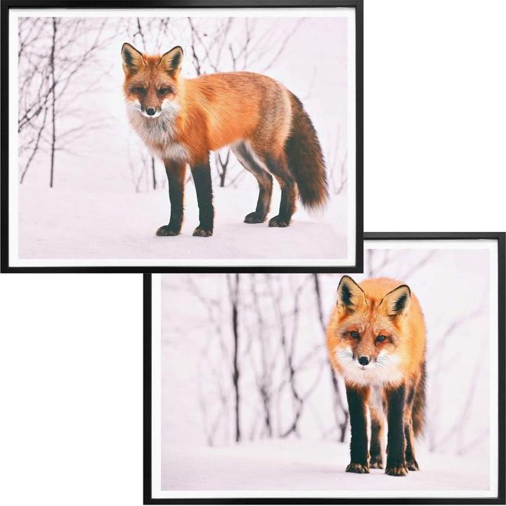 Produktbild Trenddeko Fuchs im Schnee - 2-teilig (80 x 60 cm)