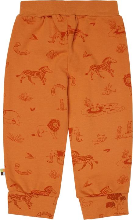 Actual product image loud + proud Pants with print (74)