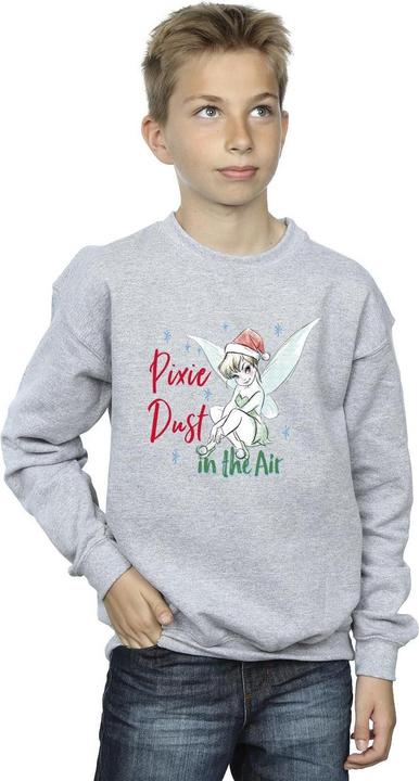 Produktbild Disney Tinker Bell Pixie Dust Sweatshirt Jungen (152, 158)
