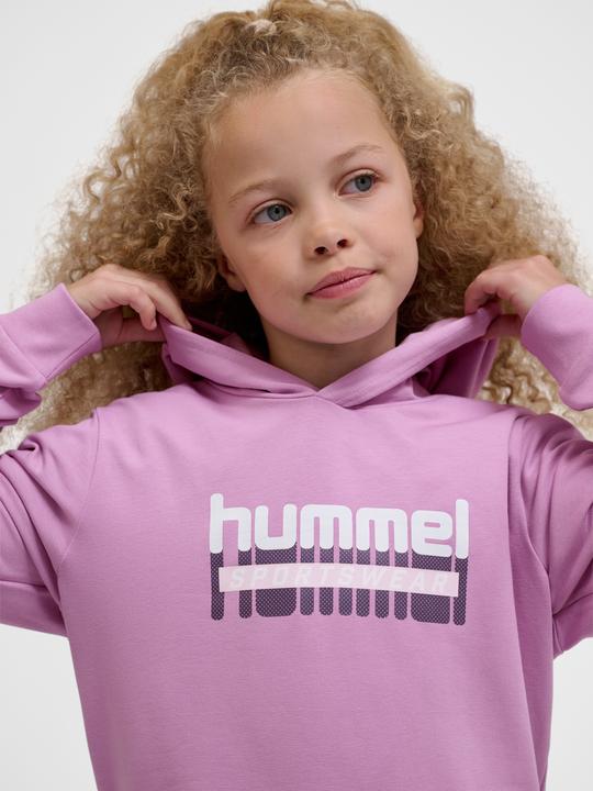 Image du produit hummel hmlTUKAS HOODIE (116)