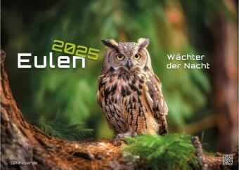 Produktbild Eulen - Wächter der Nacht - 2025 - Kalender DIN A3 (A3, Deutsch)
