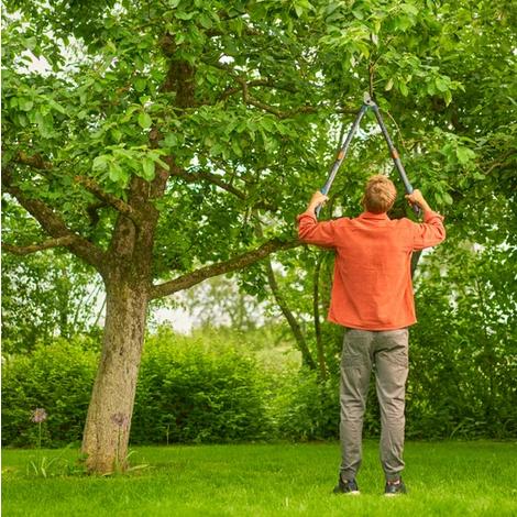 Immagine prodotto Gardena Cesoie per rami TeleCut lungo 650-900B