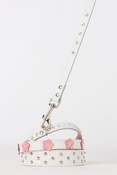 Actual product image Dogue Foxy Collar (40, Dog)