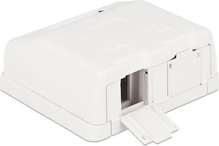 Delock Boîtier vide Keystone : 2 ports (Support de module Keystone)