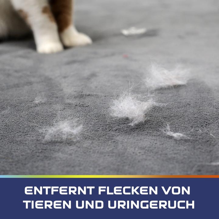 Produktbild Vanish Haustier Experte Teppich-Spray