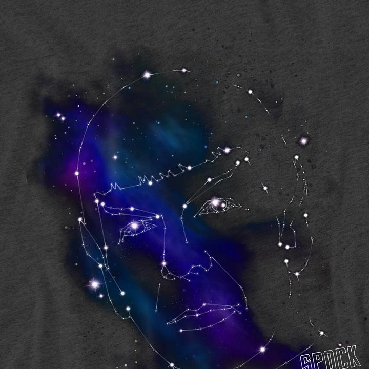 Image du produit - T-shirt - Adulte (L)