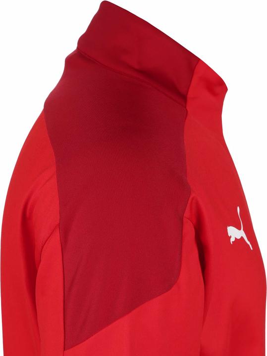 Image du produit Puma Veste d'entraînement pour hommes TeamGOAL 23 (50 E)