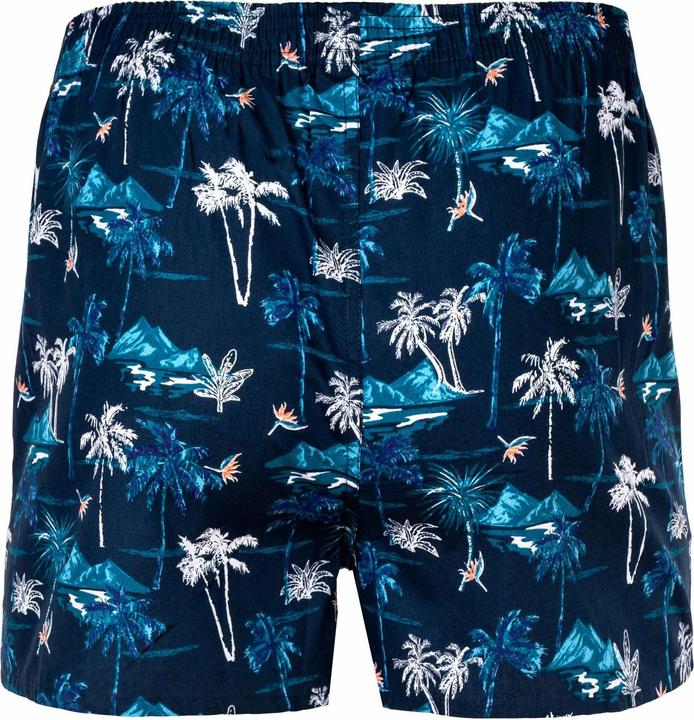 Immagine prodotto Happy shorts Boxer in tessuto dal taglio casual e confortevole (M)