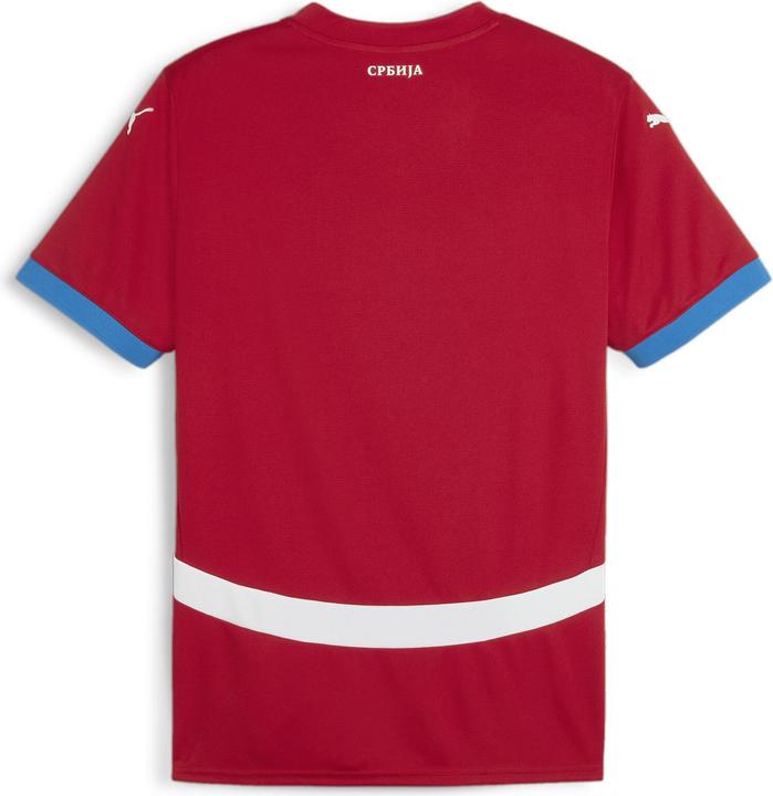 Actual product image Puma FSS Home Jersey Replica (M)