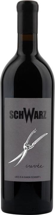 Actual product image Weingut Johan Schwarz Schwarz Cuvée 1.5 L Magnum Burgenland DAC Austria (1 x 150 cl, 2020)