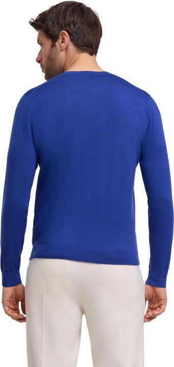 Actual product image Falke Men (L)