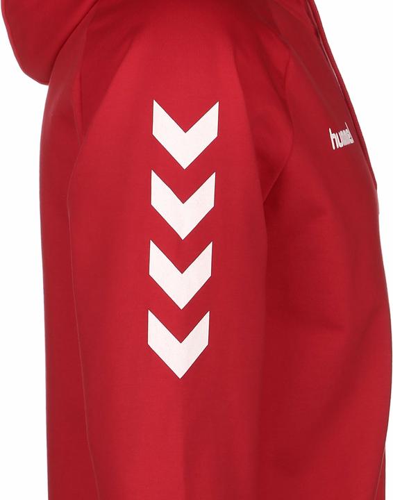 Actual product image hummel Hmlgo Cotton Hooded Jacket Men (S)