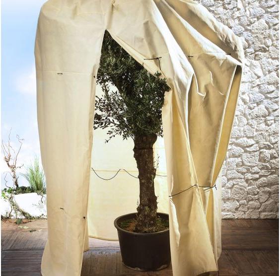 Produktbild Bio Green Mammut