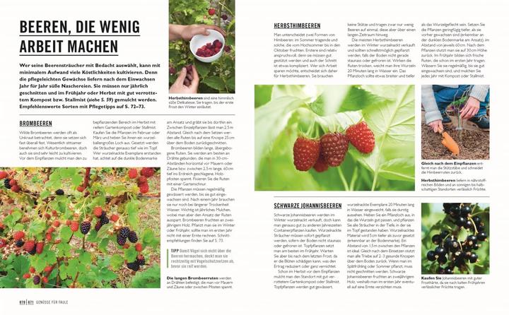Produktbild Grünes Gartenwissen. Gärtnern mit wenig Aufwand (Deutsch, Zia Allaway, DK Verlag, Reinhard Ferstl, 2024)
