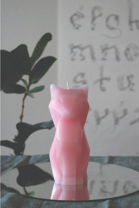 Immagine prodotto 54Celsius PyroPet Kisa (1 pz.)