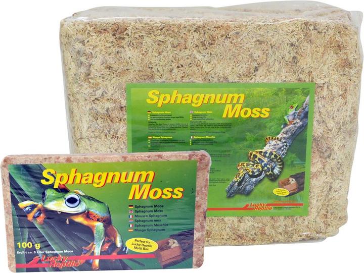 Image du produit Lucky Reptile Mousse pour terrarium Sphagnum