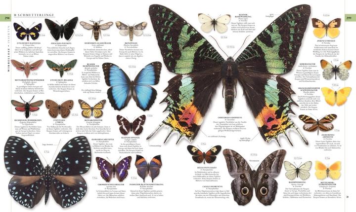Immagine prodotto Die Natur in über 5000 Fotos (Tedesco, David Bernie, 2021)