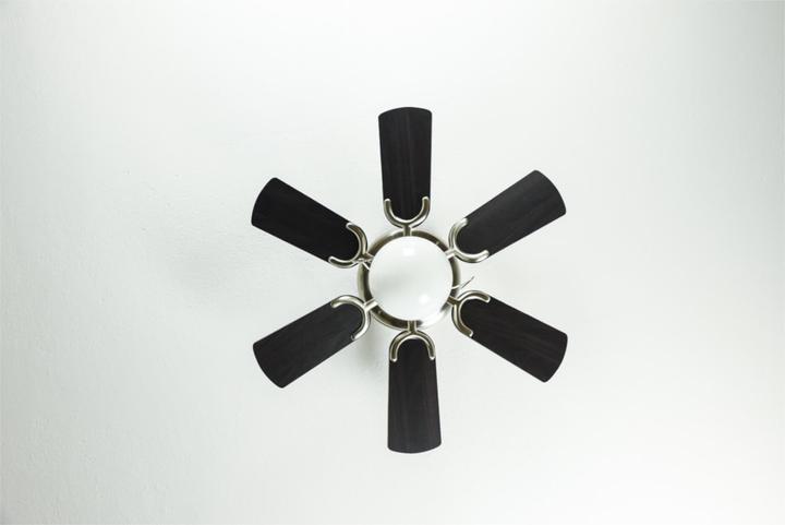 Actual product image Westinghouse Petite (45 dB)