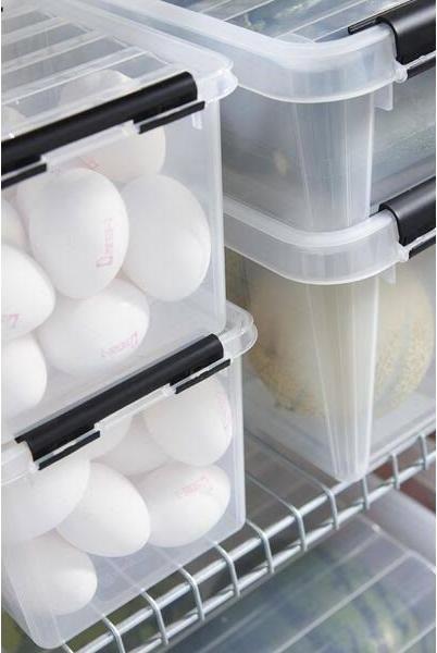 Immagine prodotto Ebnat Scatola di trasporto con coperchio (21 x 17 x 15 cm, 3 l)