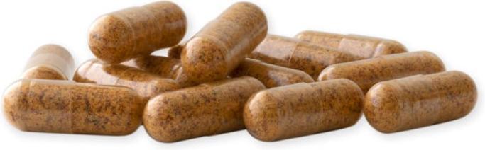 Produktbild Raab Hagebutte mit Vitamin C Bio (150 Stück, Kapseln, 150 g)