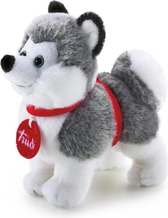 Trudi Husky Marcus standing
