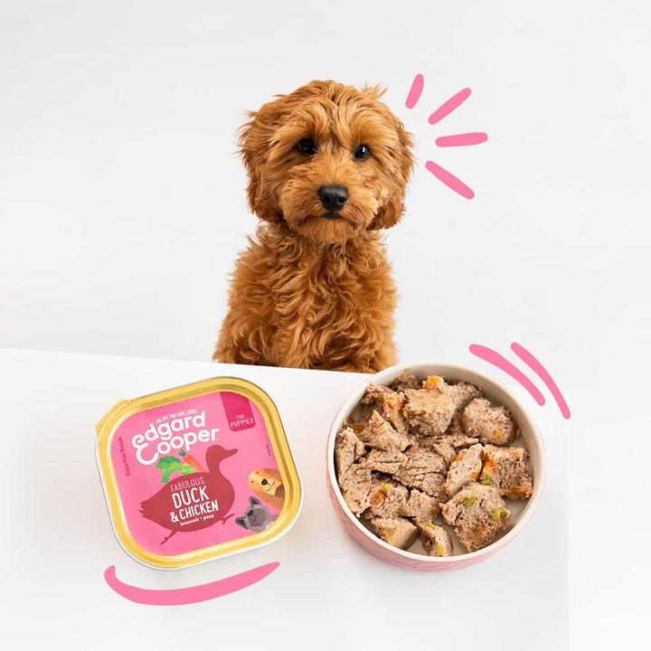 Actual product image Edgard & Cooper Wet dog food (Junior, 18 pcs., 5400 g)