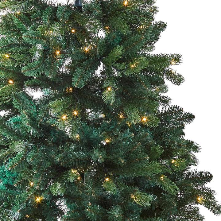 Actual product image Loberon Christmas tree Helford (240 cm)