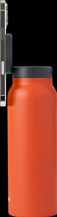 Immagine prodotto Ringo Regolare (0.71 l)